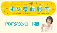 YY通信　PDF版ダウンロード〈2.3MB〉